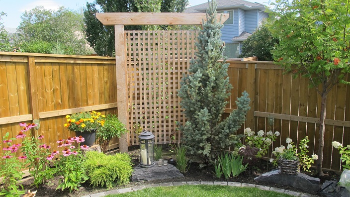 Green Thumb Wendy S Garden It S Lovely Private Back Yard I Didn